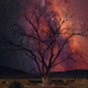 Meet your Posher, Peyton